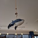 고창코지테마펜션 이미지