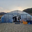 동막상회