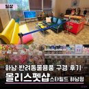 펫라운지(PET LOUNGE) | 하남스타필드 강아지용품·반려동물용품 구경 후기 | 몰리스펫샵 스타필드하남점