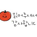 해가람사진관