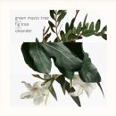아이딜릭하우스(Idyllic House) | 바디로션 | 에르메스 ‘운 자르뎅 메디떼라네' | Un Jardin en Mediterranee | ★★★☆