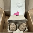 에너지자원 | [2월 자원봉사 프로그램 후기] 생태다양성을 위한 '씨앗폭탄' 던지기! 🌱💣