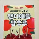 대단한탕후루창원 이미지