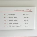 왓숑미용 이미지