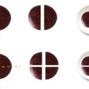 군도6호 | 초등 수학 성적 향상 후기_수학 우등생까지, 초3 후행에서 초5 선행 의지의 길 A 군