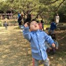 신영숙콜렉션 이미지