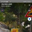 초포중화요리