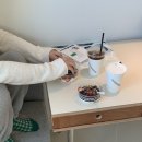 맹그로브신설 이미지