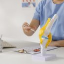 더나은정형외과의원 이미지