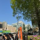 아이언시큐리티 | 아빠랑 함께한 콜드플레이 콘서트 후기