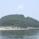 싸리섬 Daum백과