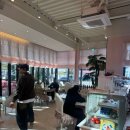 분홍공주 | [전북 정읍] 정읍 브런치 맛집 애견동반카페 “카페 분홍”