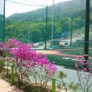 체육공원(수세식) 이미지