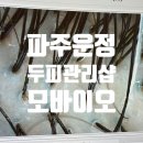 파주 운정 탈모관리 지루성두피 전문 모바이오 두피클리닉 후기