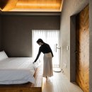 스테이 가량 이미지