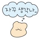 남도보쌈짚 산수점 이미지