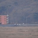 동주 농장 이미지