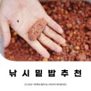 낚시밑밥추천 k2 콤보 완성 밑밥 대상물산 낚시용품 ⓒ ᴍᴏᴀ sᴛᴏʀʏ