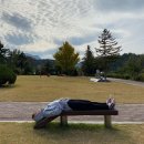 왈왈이 - 원주시 | 왈왈이