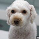 타잔동물병원 이미지