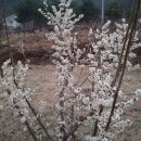 한아름농장