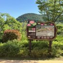 대가연꽃테마공원 이미지