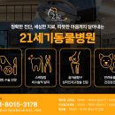 21세기종합동물병원 이미지