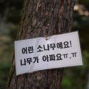 도원오토 이미지