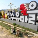 원적로 | 이천 산수유꽃축제 애견동반 후기, 강아지랑 주말 봄나들이 추천