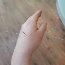 삼진한의원 이미지