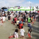 팔딱팔딱 이미지