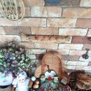 차이나거리 이미지