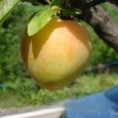 종현농장 이미지