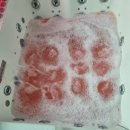 카우스톨 이미지