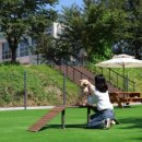 반려동물놀이터 이미지