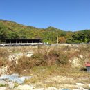 천태산농원 이미지