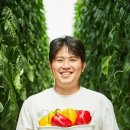 신선드림푸드