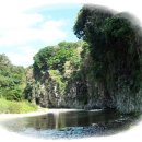 금철농장 이미지