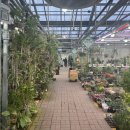 양재시장 이미지