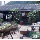 사내골농장 이미지