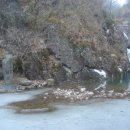 영산포홍어거리 이미지