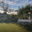 살구나무집민박 이미지