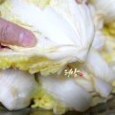 상큼한 여름김치 이미지