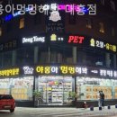 야옹아 멍멍해봐 대흥점 | [대전/분양샵] 야옹아멍멍해봐 대흥점 입양 후에도 관리 팁을 알려주는 든든한 곳