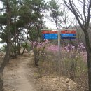 위전3리 Daum카페