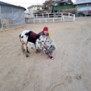 해돋이2농장 이미지