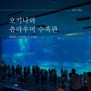 종합수족관 | 일본 오키나와 츄라우미 수족관 종합 후기 (ft. 티켓 구매 꿀팁, 영업시간, 비 올 때 좋음)