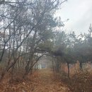 방아실마을회관 이미지