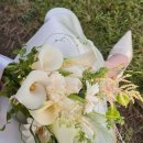 온더플라워 | 서울 합정 꽃집 시즈더플라워 웨딩촬영부케 후기