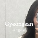 포그룸헤어